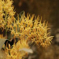 images/articles/2025/serre-papillons/Serre 7-min.jpg