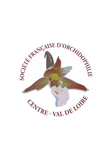 RÉPERTOIRES DES ÈSPÈCES D'ORCHIDÉES EN REGION CENTRE-VAL DE LOIRE