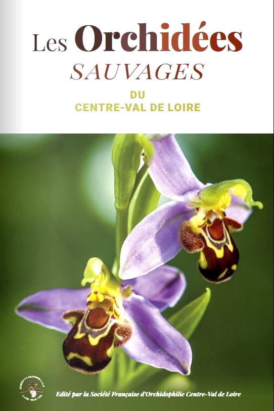 orchidess-sauvages-de-la-region-centre