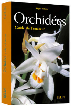 orchidees-guide-de-lamateur