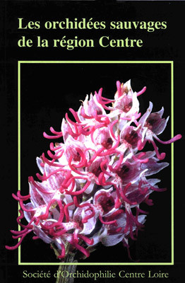 orchidees-sauvages-de-la-region-centre